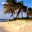 Free Wild Beaches Screensaver icon